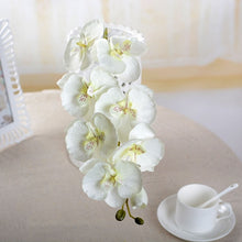 Load image into Gallery viewer, Fashion Butterfly Orchid