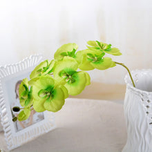 Load image into Gallery viewer, Fashion Butterfly Orchid