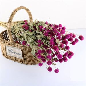 Preserved Fresh Dried Red Flower